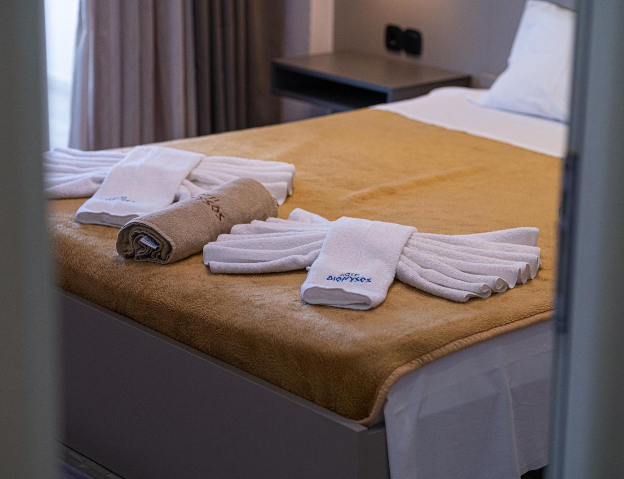 Hotel Dionysos Polichrono Полихроно Экстерьер фото